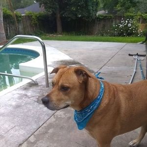 Meet your Posher, Janice